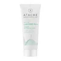 Atache Oily SK Purifying Mask 100 мл