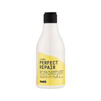 Glossco Perfect Repair Shampoo 250 мл